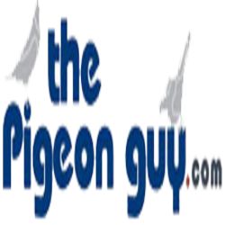 thepigeonguy