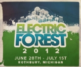 Electric Forest
