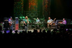 Dark Star Orchestra Announces NYE Dates